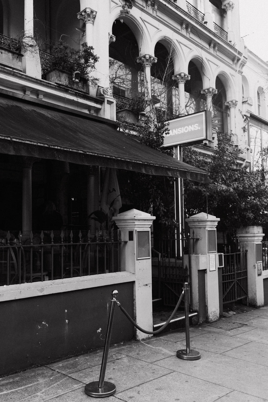 The Late Saturday Therapy